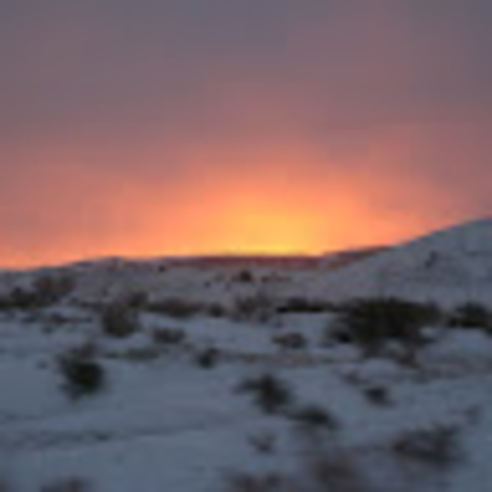 Meet your Posher, Ali